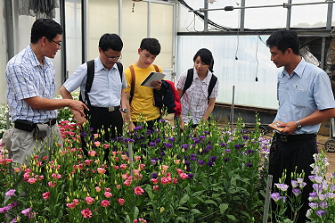 張元聰副研究員說明不同洋桔梗品種特性