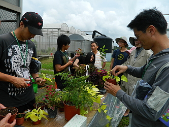 學員們認真的在幫植物做扦插繁殖