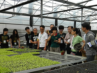 學員們認真聽蔬菜穴盤育苗步驟