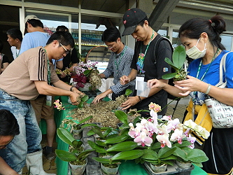 學員們幫蝴蝶蘭換盆