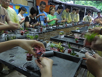 學員們開心的製作迷你盆栽