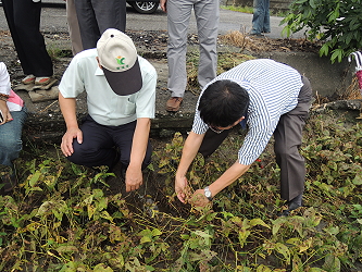 農糧署李蒼郎署長及臺南區農業改良場王仕賢場長實地勘查大豆災害受損情形