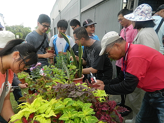 學員們認真學習植物扦插繁殖 