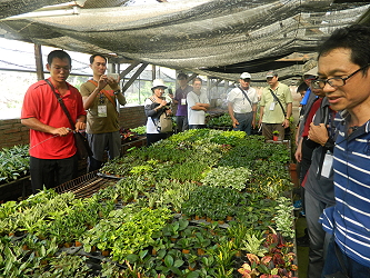 學員參觀花與綠園藝農場栽培現況