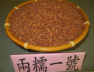 兩糯一號 ( 釀酒用高粱 ) 籽實