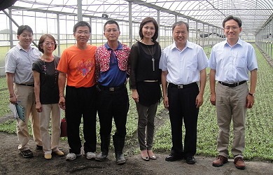 張致盛處長、荊桐鄉農會張總幹事等現場訪視青農張仁通先生設施空心菜產業