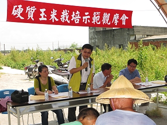 本場王仕賢場長表示，種植硬質玉米可以取代進口量，提高我國糧食自給率