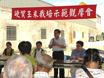 東勢鄉農會陳倉富總幹事表示，硬質玉米適合本地及沿海地區農地種植