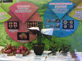 本場參展項目－紅龍果半網袋新型專利、 蘭花栽培介質雜草種子活性滅除技術