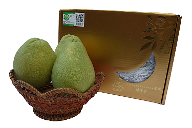 杞果園的產銷履歷頂級文旦 