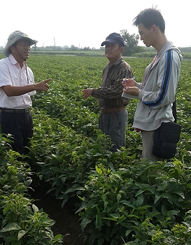 青年農民專案陪伴輔導師連大進先生 (左) 給予蘇建鈞栽培管理技術建議