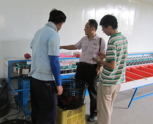 王致傑 (左) 與本場輔導小組黃士晃助理研究員 (右) 及盧子淵副研究員 (中) 就新購的紅龍果重量分級機使用情況進行討論 