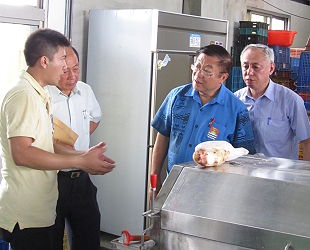 青年農民林尚蔚先生 ( 左一 ) 及陪伴師許明仁顧問 ( 右一 ) 為主委及農糧署李蒼郎署長 ( 左二 ) 解說芋頭脫皮機的運作流程