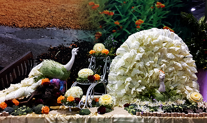 入口處兩隻孔雀非常爭豔，象徵農產品整合行銷 