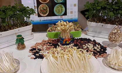 增加花生多元化利用，開發新產品