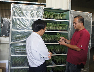 勇壯育苗場黃仲毅向陳副主委說明客製化番茄嫁接苗情形