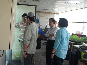 育家育苗場呂育家向陳副主委及盧虎生處長說明嫁接癒合室使用情況 