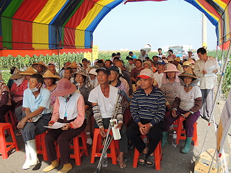 農民踴躍參加黑豆臺南 3 號田間示範觀摩會