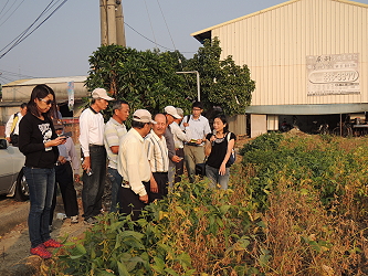 吳昭慧副研究員針對示範田大豆高雄選 10 號植株生長情形作說明