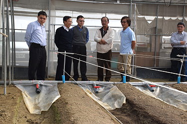 陳文德副主委訪視青農曾冠維設施蘆筍冬季生產情形 ( 左起王仕賢場長、陳文德副主委、莊老達分署長、陳水心技佐、曾冠維先生、王裕權課長 ) 