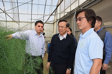 陳副主委聽取 「設施蘆筍冬季生產技術」操作技術