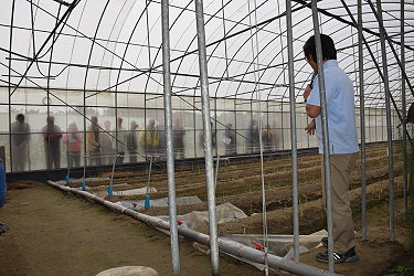 青農曾冠維 ( 右 ) 現場說明栽培操作，雖未開放參觀農友進入溫室，但仍隔著防蟲網聆聽