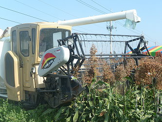 雲菱農機公司現場機械採收示範