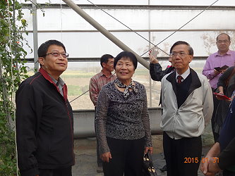 葉津鈴立委及陳文德副主委參訪林建利農友設施小果番茄生產