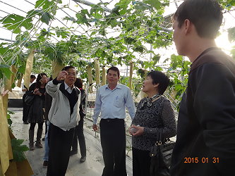 葉津鈴立委及陳文德副主委參訪陳朋修農友設施苦瓜生產