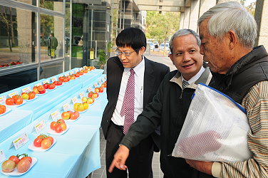 王仕賢場長與種苗公司人員參觀番茄果品展示