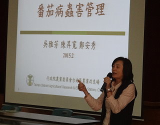吳雅芳助研員講解番茄病蟲害管理