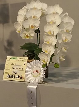 本場優良品種 ‘Tainan White’ 獲得評審青睞，給予第三獎之殊榮