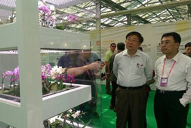 農委會陳保基主委 15 日在農糧署李蒼郎署長、本場王仕賢場長及台南市政府農業局郭伊彬副局長陪同下，參觀國際蘭展之蘭花產業館， 蘭協 鄭秘書長報告產業發展
