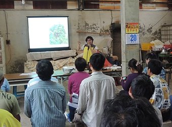 張嵐雁助理研究員說明龍眼矮化的要點