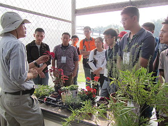 學員們認真學習植物扦插繁殖技術