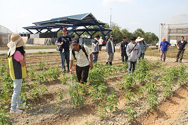 學員們頂著烈日揹著設備噴藥