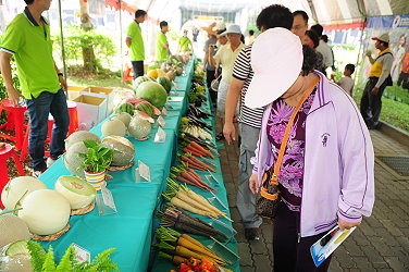 各種苗公司展示優良瓜果品種 1