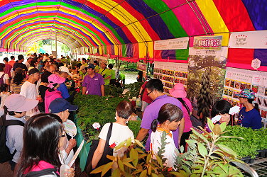 種苗及瓜果展售攤位