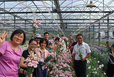 戶外參訪洋桔梗，採花趣