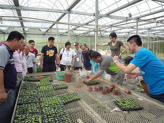 學員們在溫室中學習蔬菜育苗