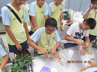 同學們小心翼翼幫蝴蝶蘭換盆