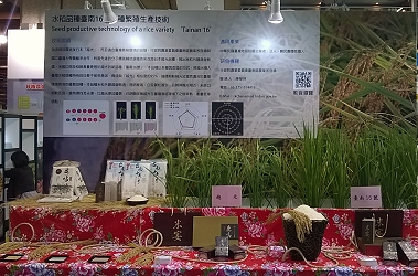 本場參展項目「水稻品種臺南 16 號稻種繁殖生產技術」可以創造農企業更高利潤