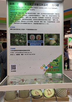 本場參展項目「耐熱、抗病、高品質之洋香瓜新品種臺南 13 號」非常具有產業應用價值 