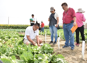 評審委員－麥寮果菜生產合作社郭進展理事主席 ( 左 ) 田間現採評鑑