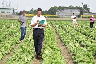 評審委員－新湖合作農場陳清山理事主席 ( 中 ) 田間評審