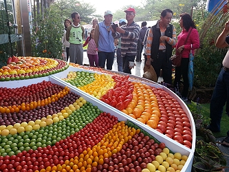 今年最大亮點 - 番茄主題區五顏六色的番茄拼圖 