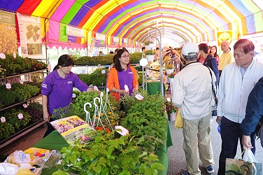 種苗公司及農特產品攤位購買人潮眾多