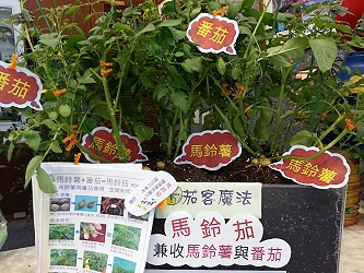 「馬鈴茄」臉書貼文傳閱超過 3 萬 6 千人，是今年另一個亮點