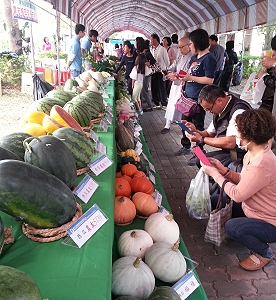 種苗公司展示攤位