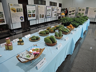 展示內容包含木瓜相關海報、優良種苗、新品種果實及木瓜加工產品等